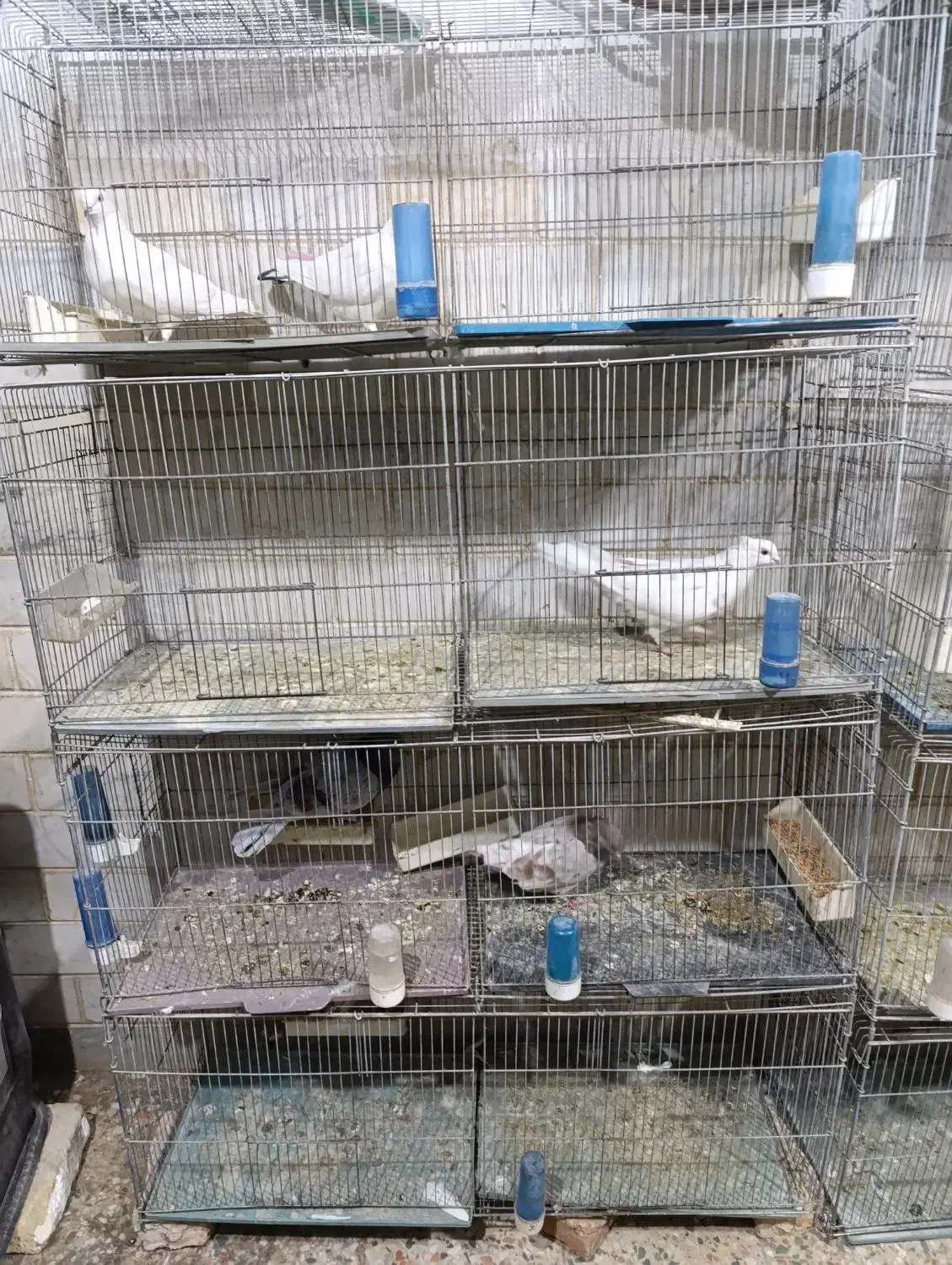 دو عدد قفس 8خان معمولی فروشی|لوازم جانبی حیوانات|نظرآباد, رسالت|دیوار