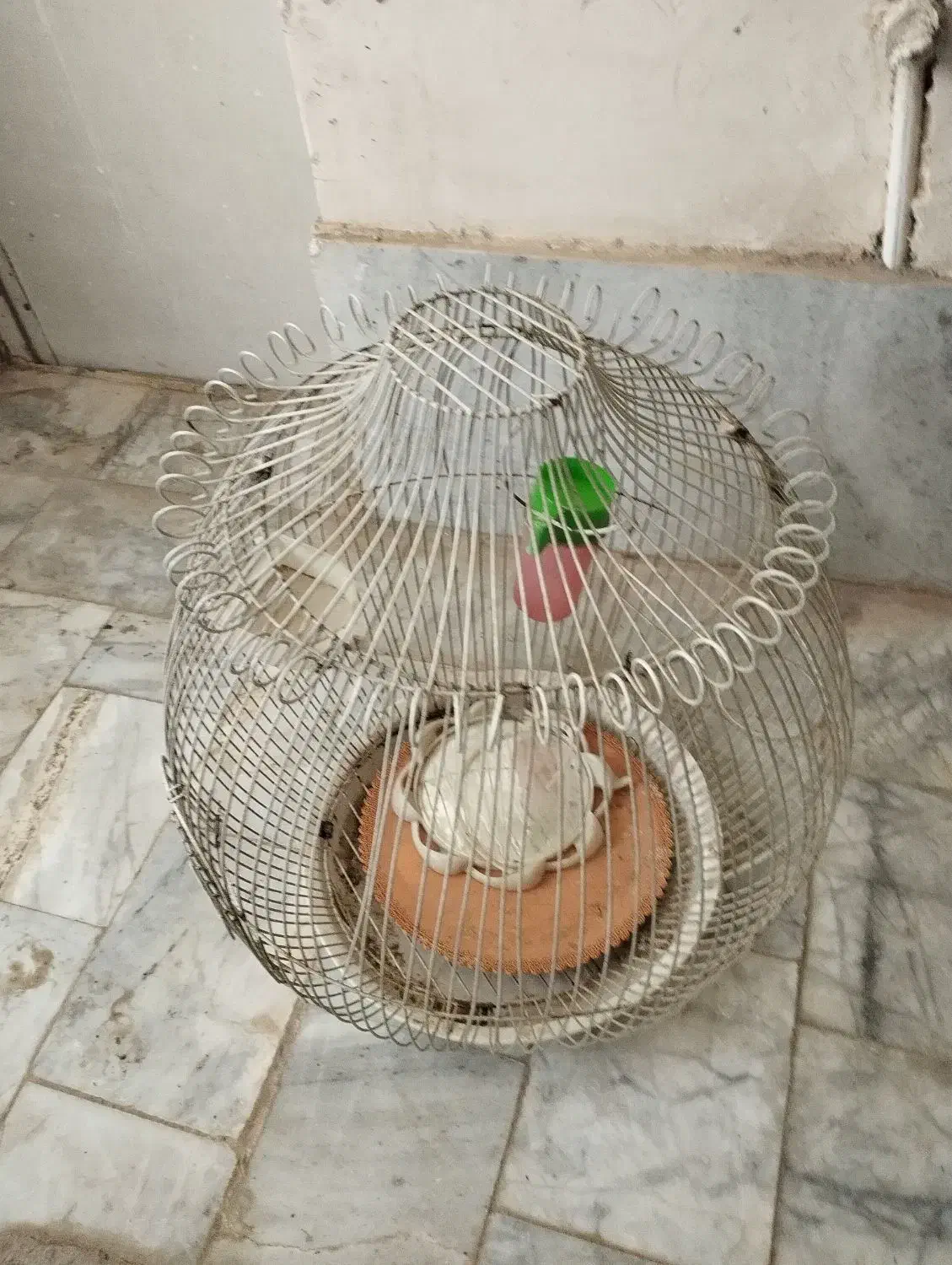 قفس پرنده|لوازم جانبی حیوانات|فریمان, |دیوار