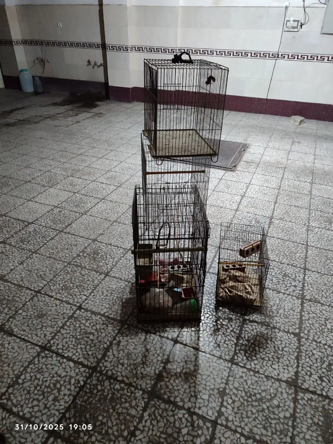 قفس پرنده|لوازم جانبی حیوانات|بوئین زهرا, |دیوار