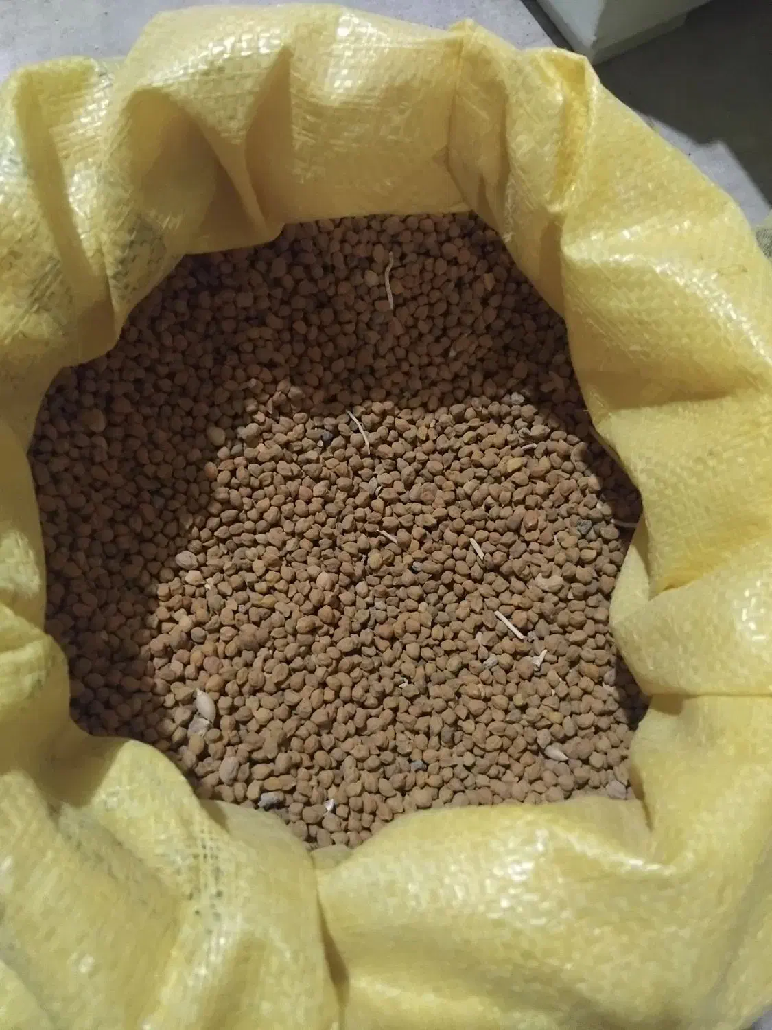 نوک سوره|خوردنی و آشامیدنی|دهگلان, |دیوار