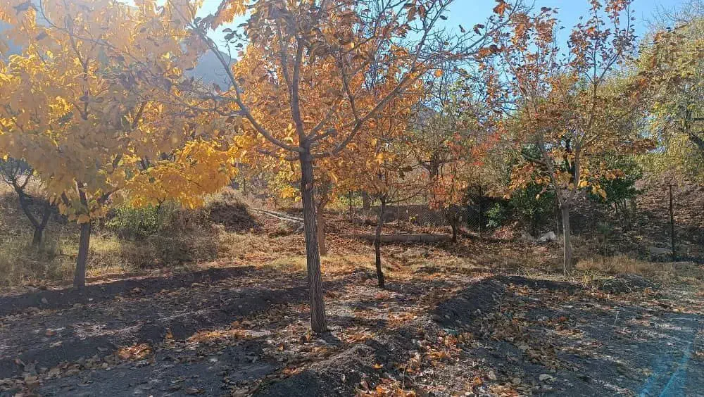 باغ ونان|فروش زمین و ملک کلنگی|قاهان, |دیوار