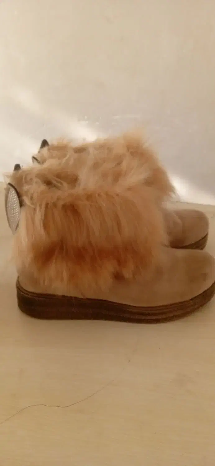 کفش|کیف، کفش، کمربند|ملایر, |دیوار