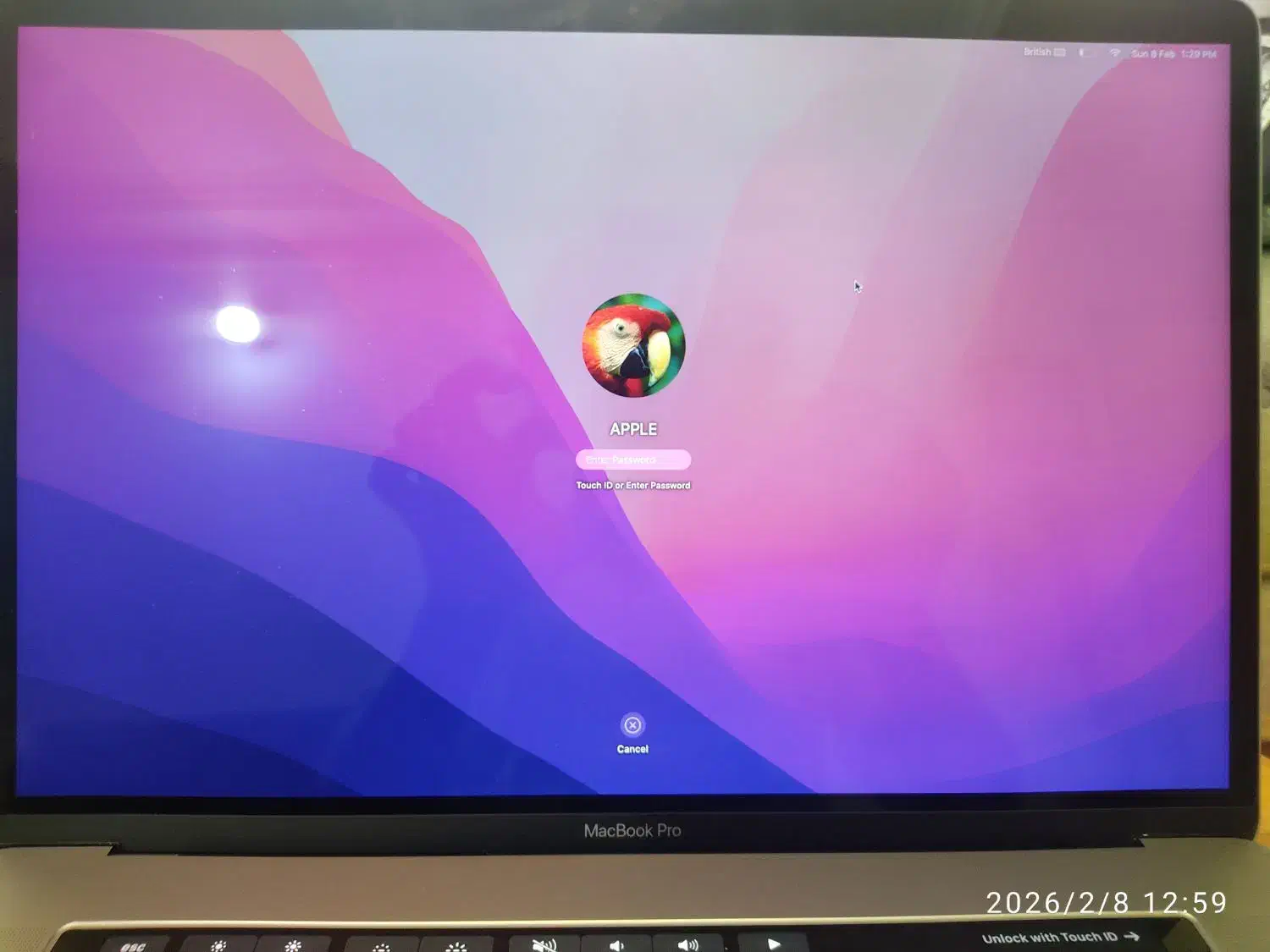 لب تاپ مک بوک پرو|رایانه همراه|گرگان, |دیوار