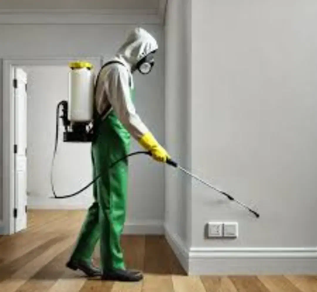 سمپاشی تضمینی٪ ساس سوسک موریانه کنه موش سم پاشی|خدمات نظافت|مشهد, طلاب|دیوار