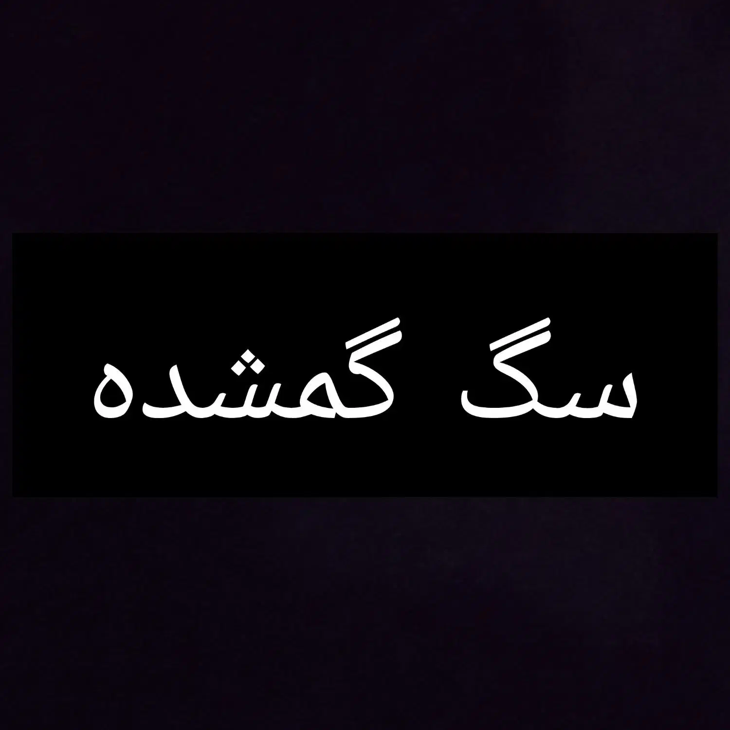 سگه گمشده پیدا کردم|حیوانات|بم, |دیوار