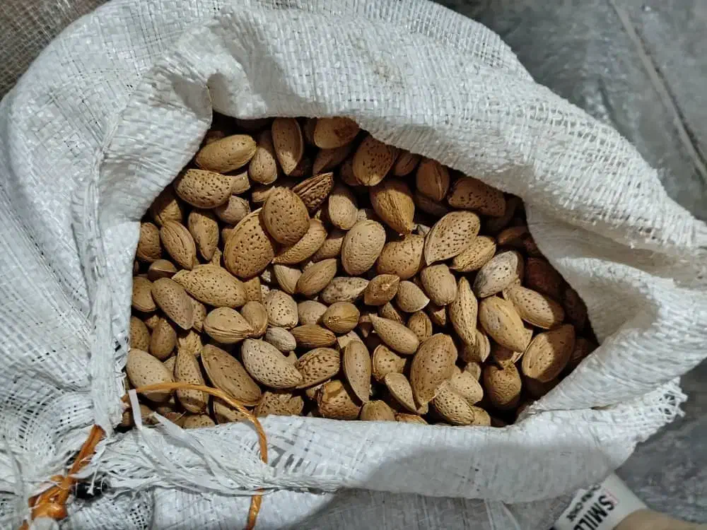 بادام شیرین|خوردنی و آشامیدنی|تکاب, |دیوار