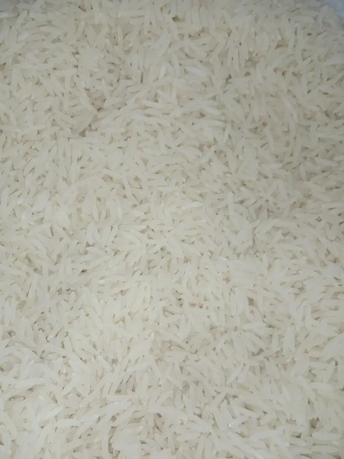 انواع برنج دهنه چهل چای درجه یک صادراتی|خوردنی و آشامیدنی|گرگان, |دیوار