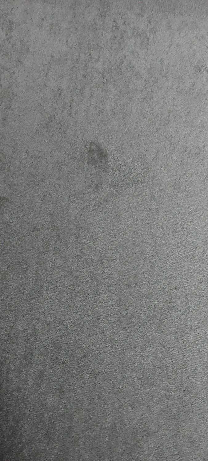 پالازموکت|موکت|تبریز, |دیوار