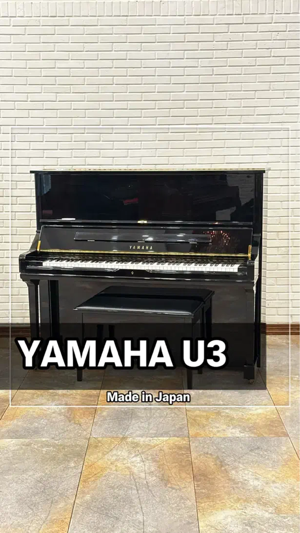 بهشت پیانیست ها|پیانو، کیبورد، آکاردئون|تهران, سیمای ایران|دیوار