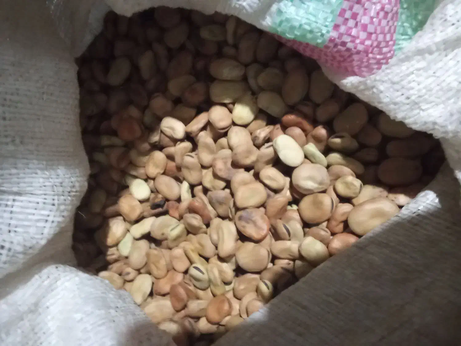 برنج فجر ۹۰روزه وباقلی درجه یک|خوردنی و آشامیدنی|خان ببین, |دیوار