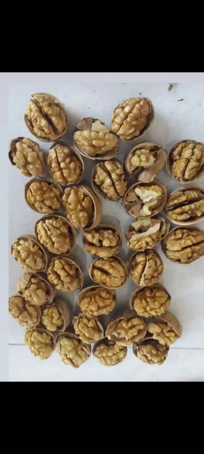 گردو کاغذی|خوردنی و آشامیدنی|رفسنجان, |دیوار