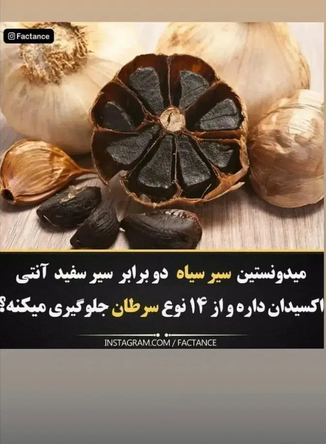 سیر سیاه مشکل گشای بدن|خوردنی و آشامیدنی|شیراز, شهرک سراج‎|دیوار