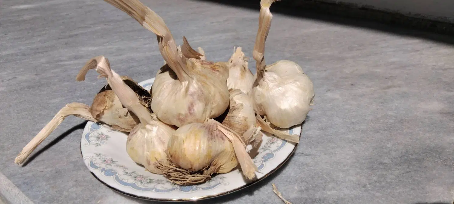 سیر همدان|خوردنی و آشامیدنی|تهران, لویزان|دیوار