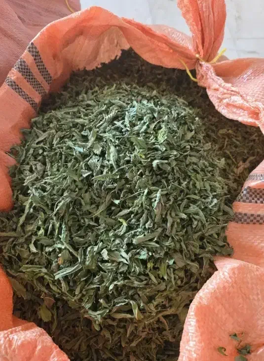 نعنا برگ خالص|خوردنی و آشامیدنی|جنت, |دیوار