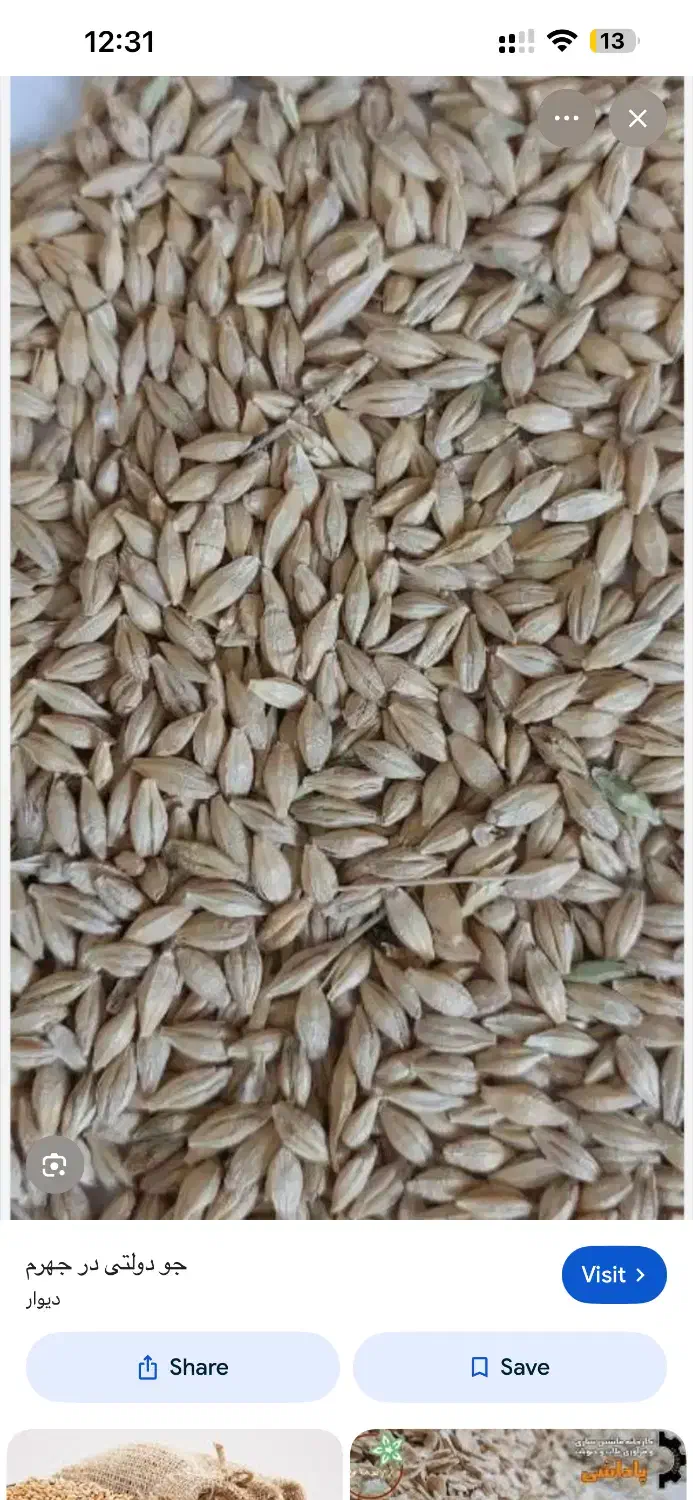 جو دولتی|عمده‌فروشی|فسا, |دیوار