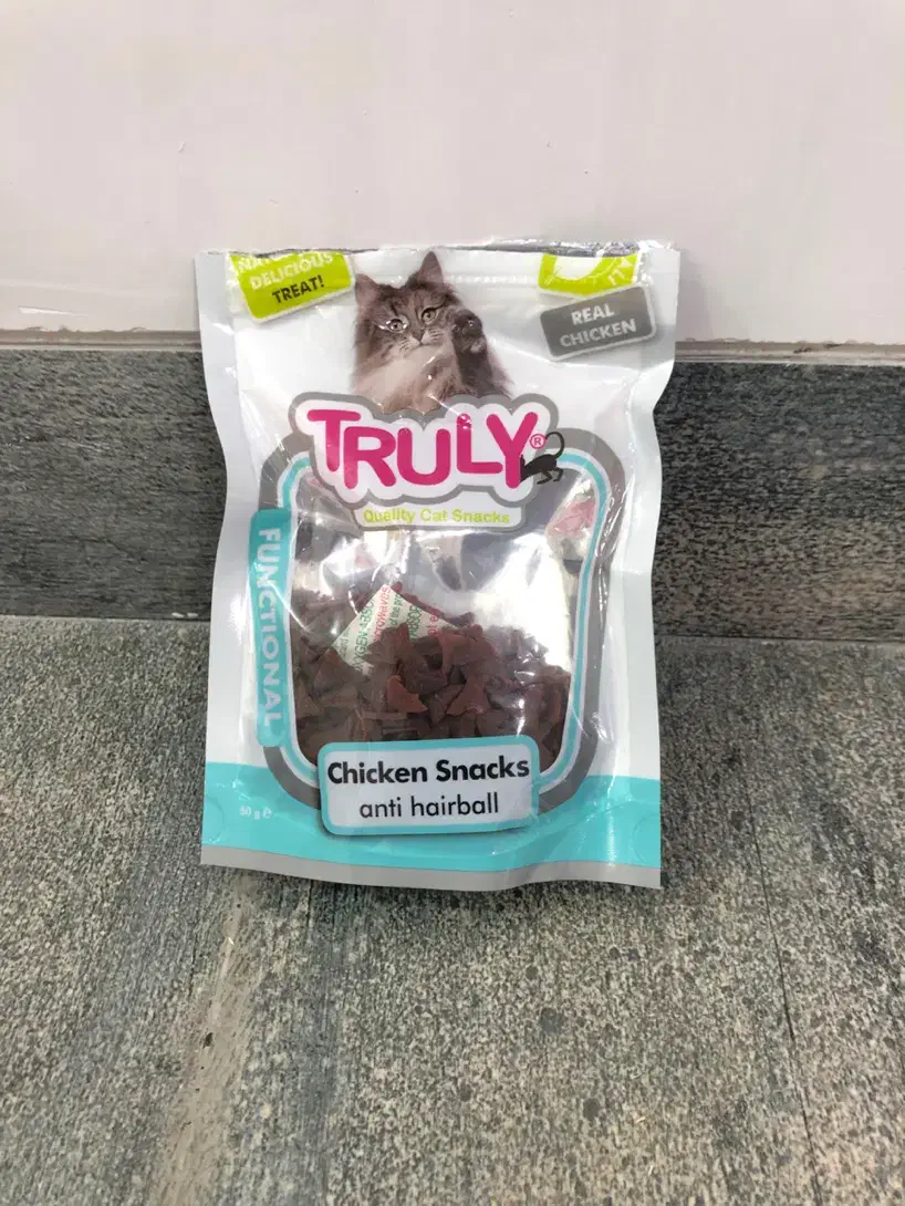 گربه|گربه|کرمانشاه, |دیوار