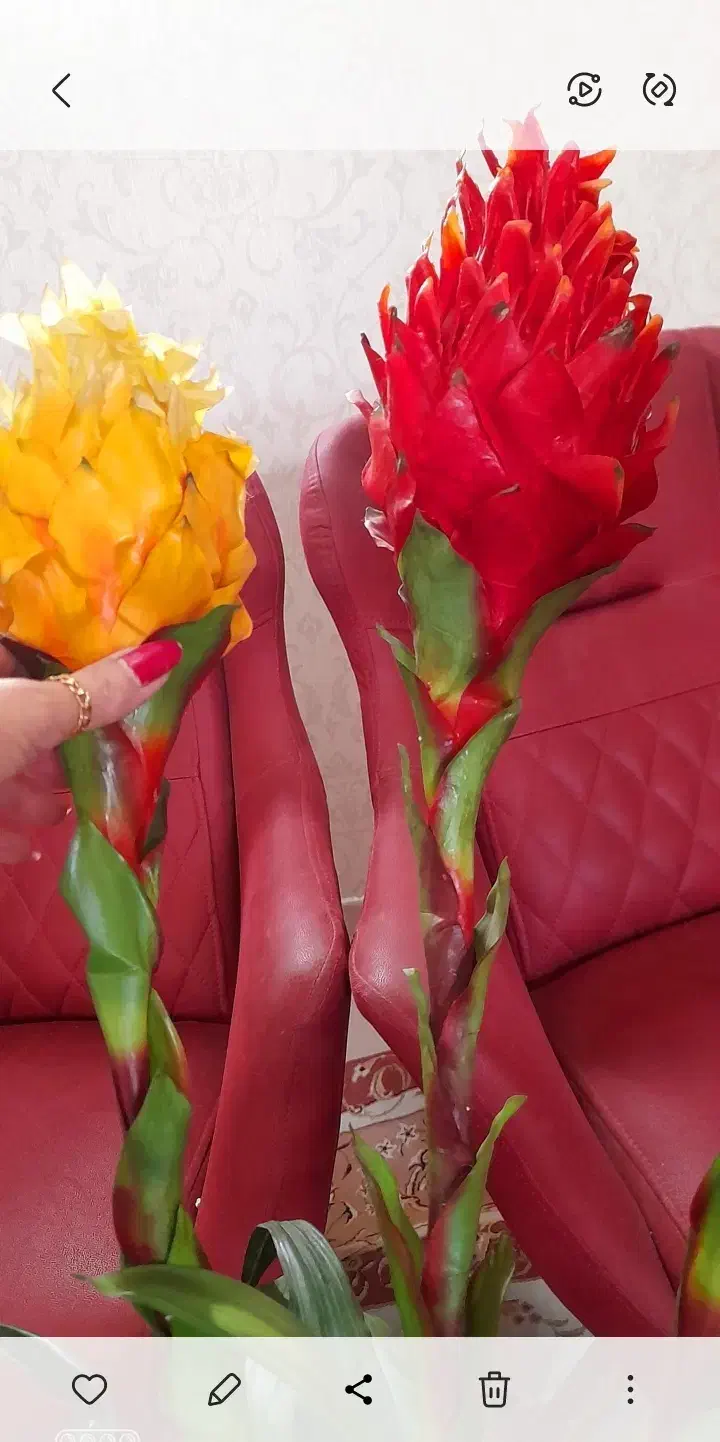 گل و گلدان|گل مصنوعی|تهران, نیلوفر|دیوار