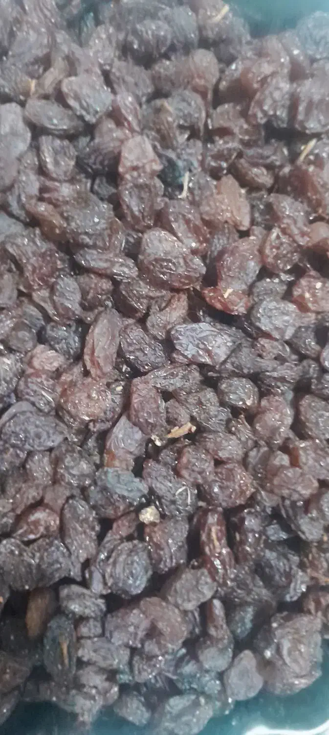 کشمش افتابی بی دانه|عمدهفروشی|تاکستان, |دیوار