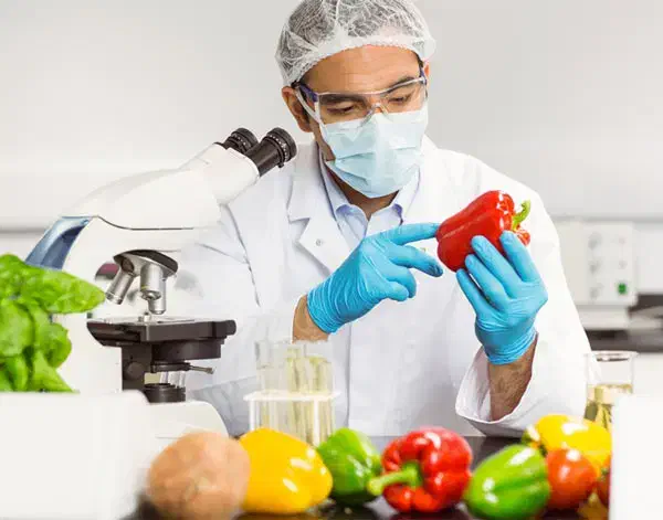 استخدام کارشناس صنایع غذایی|استخدام صنعتی، فنی، مهندسی|همایجان, |دیوار