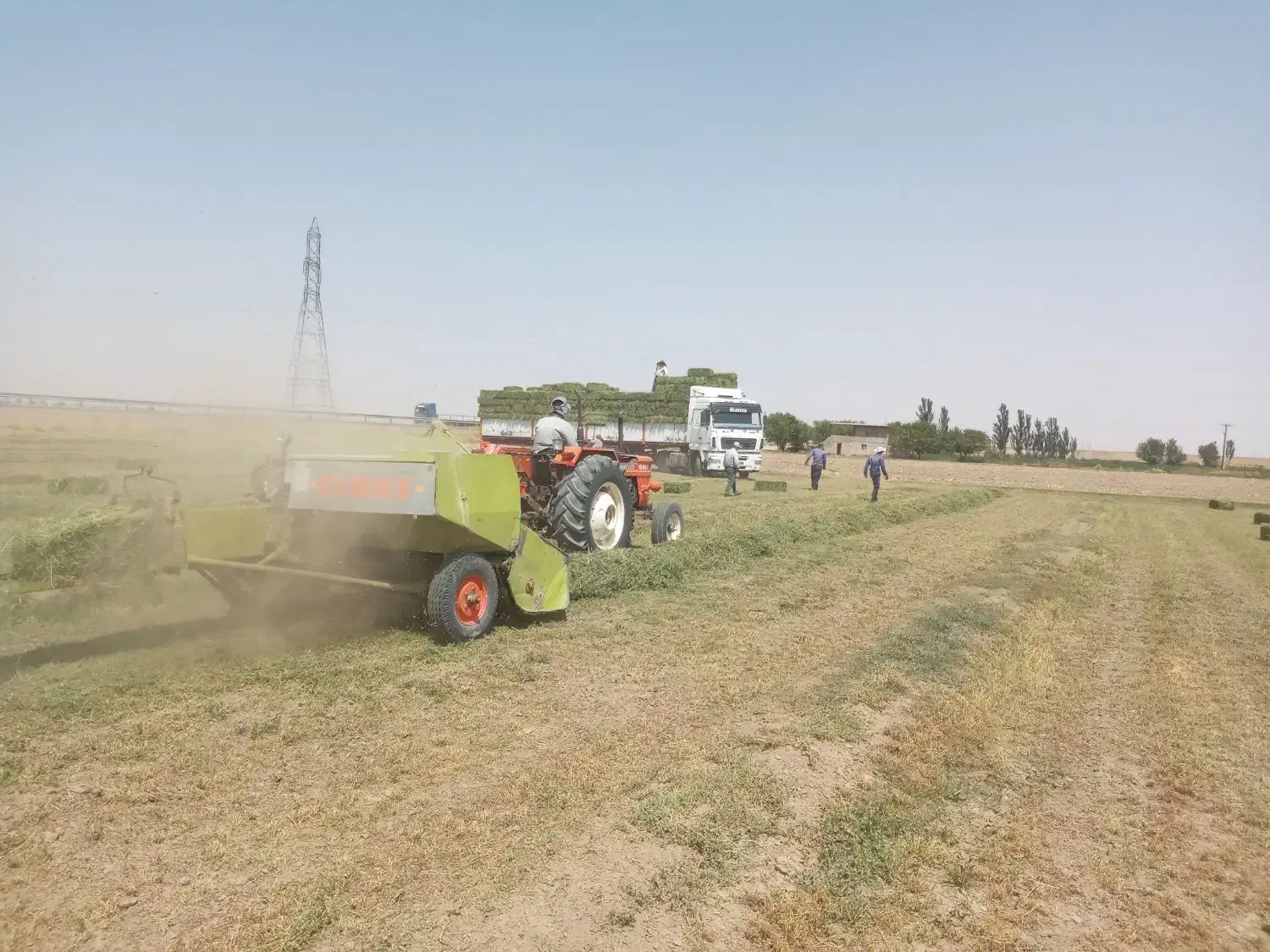 اجاره زمین ابی کشاورزی همدان فامنین|اجارهٔ دفتر صنعتی، کشاورزی، تجاری|فامنین, |دیوار