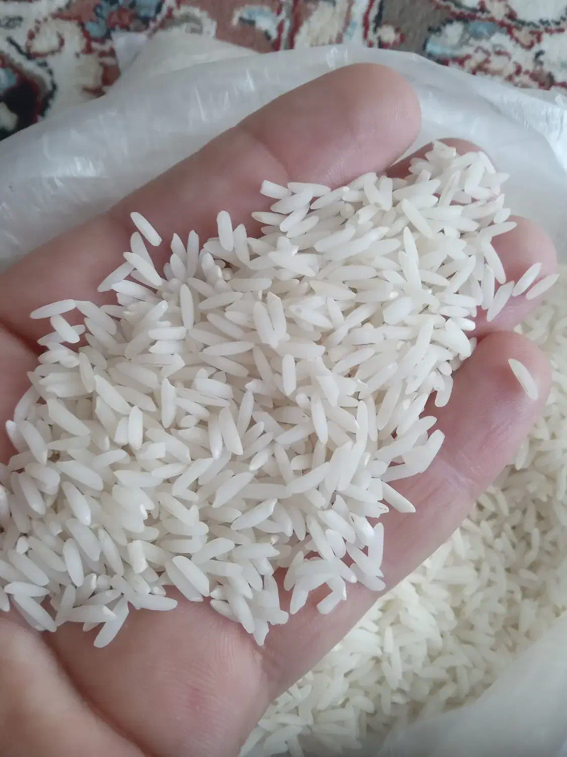 برنج طارم هاشمی دابو ملکشاه|خوردنی و آشامیدنی|نیشابور, ناسیونال|دیوار