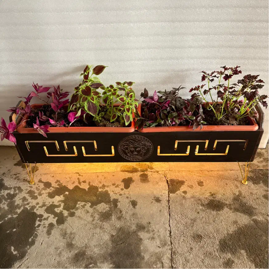 فلاور باکس چوبی/باکس گل چراغدار|گل و گیاه طبیعی|تهران, آذری|دیوار