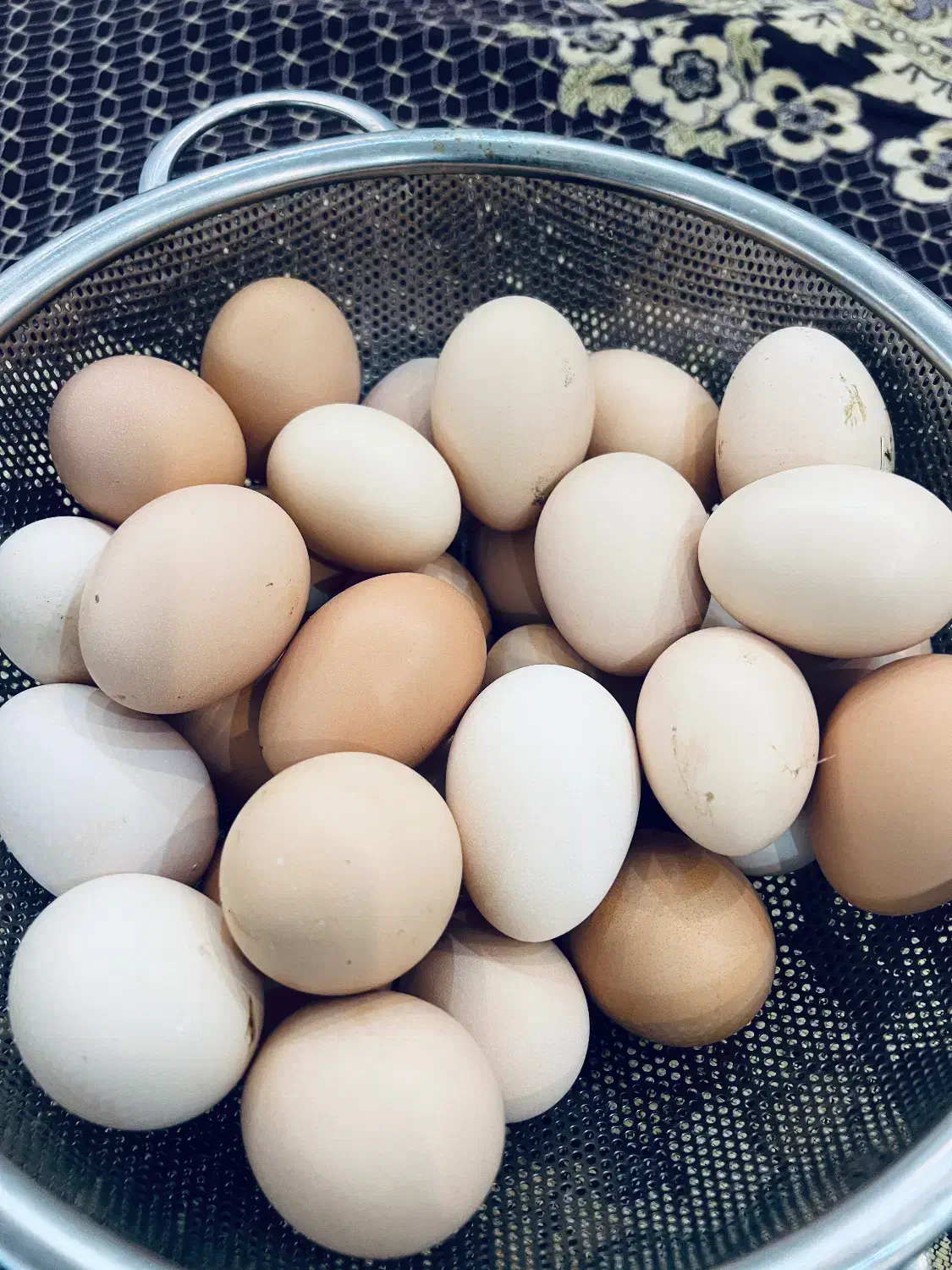 تخم مرغ نطفه دار|حیوانات مزرعه|پاکدشت, پاکدشت (مامازند)|دیوار