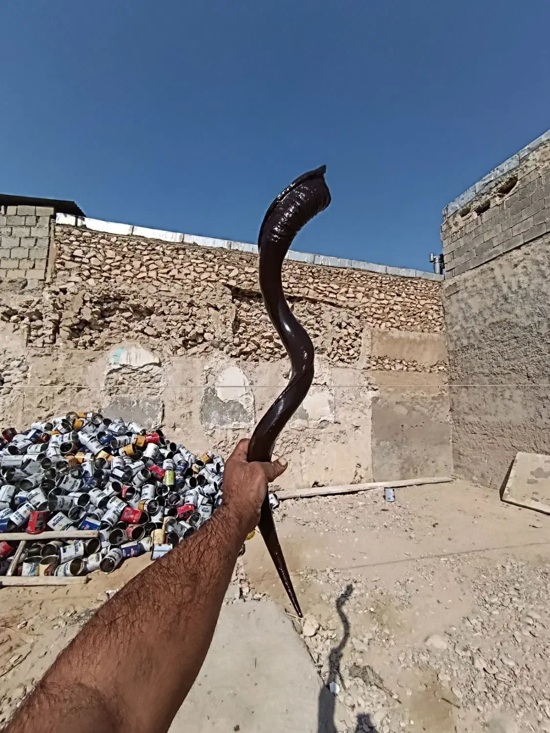 دمام سازی برادران نیکنام|درام و پرکاشن|برازجان, |دیوار