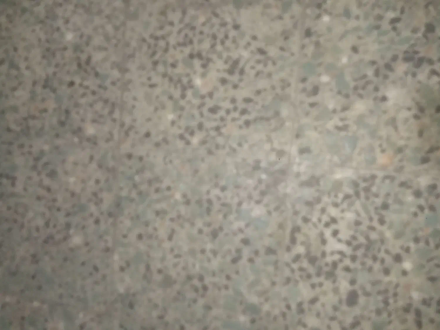 مدارک گمشده|اشیا|سقز, |دیوار