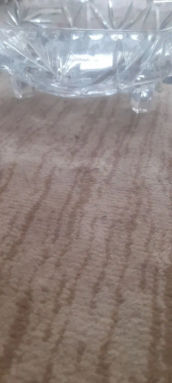 ظرف میوه پایه دار|ظروف سرو و پذیرایی|شیراز, شهرک ترکان|دیوار