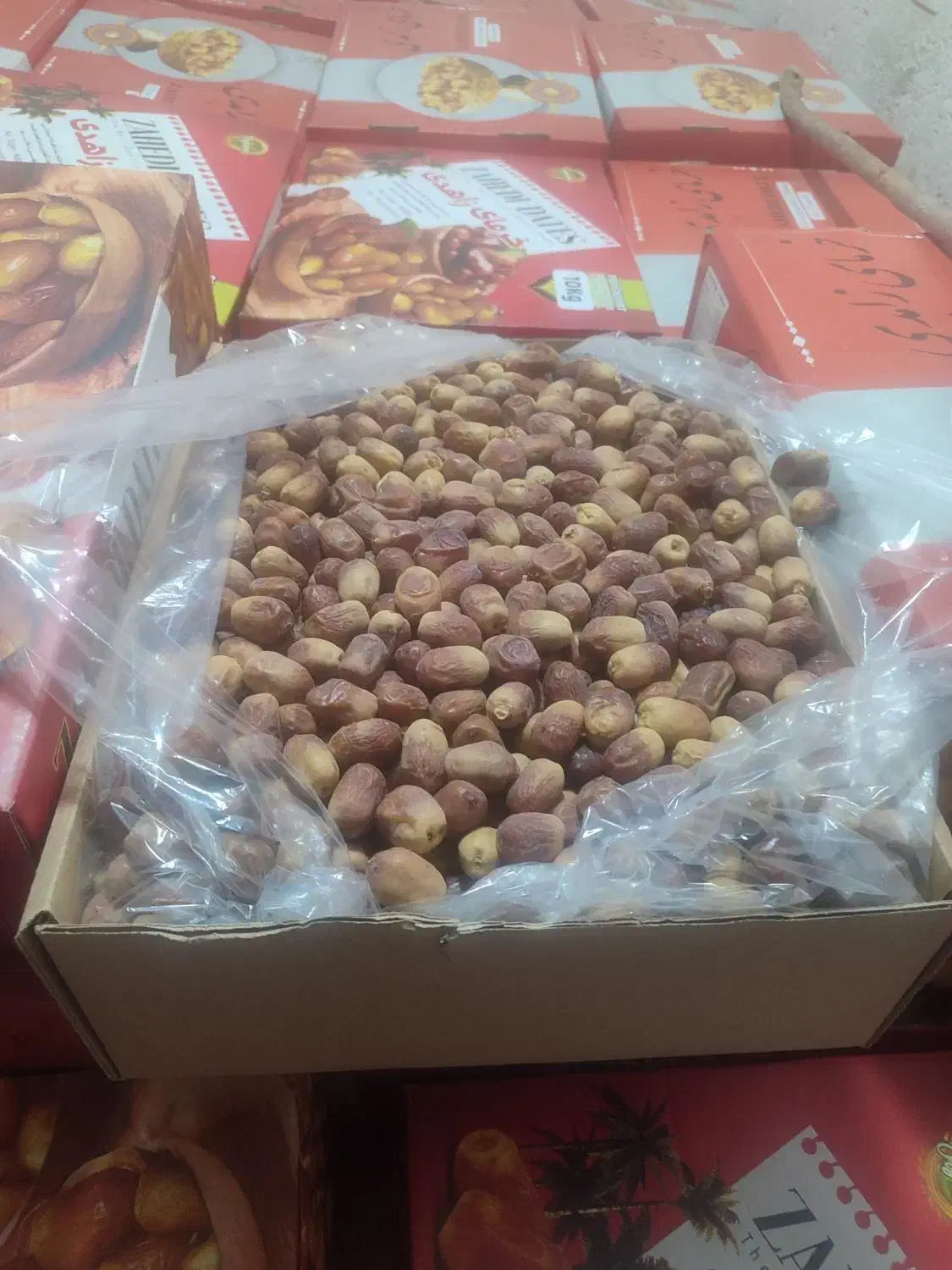 قصب یا زاهدی|عمدهفروشی|برازجان, |دیوار