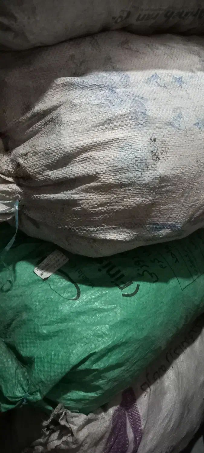 بلوطی|حراج|یاسوج, |دیوار