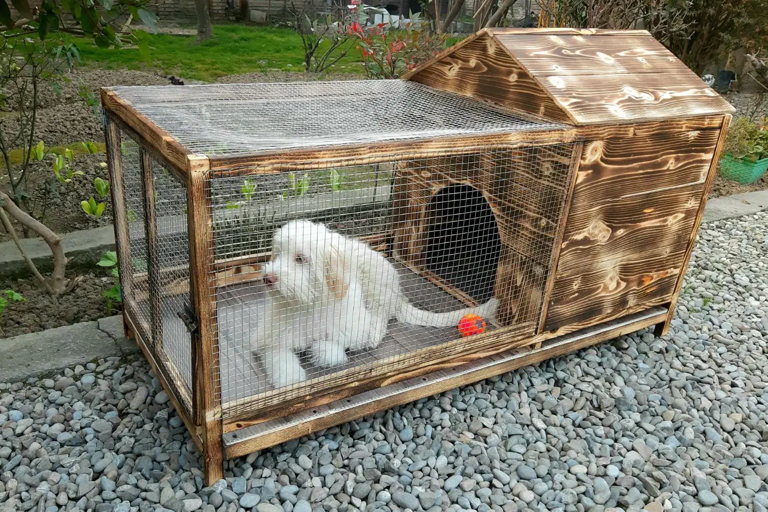 قفس سگ خرگوش طوطی عروس مرغ عشق ملنگو بلدرچین جوجه|لوازم جانبی حیوانات|قائمشهر, |دیوار