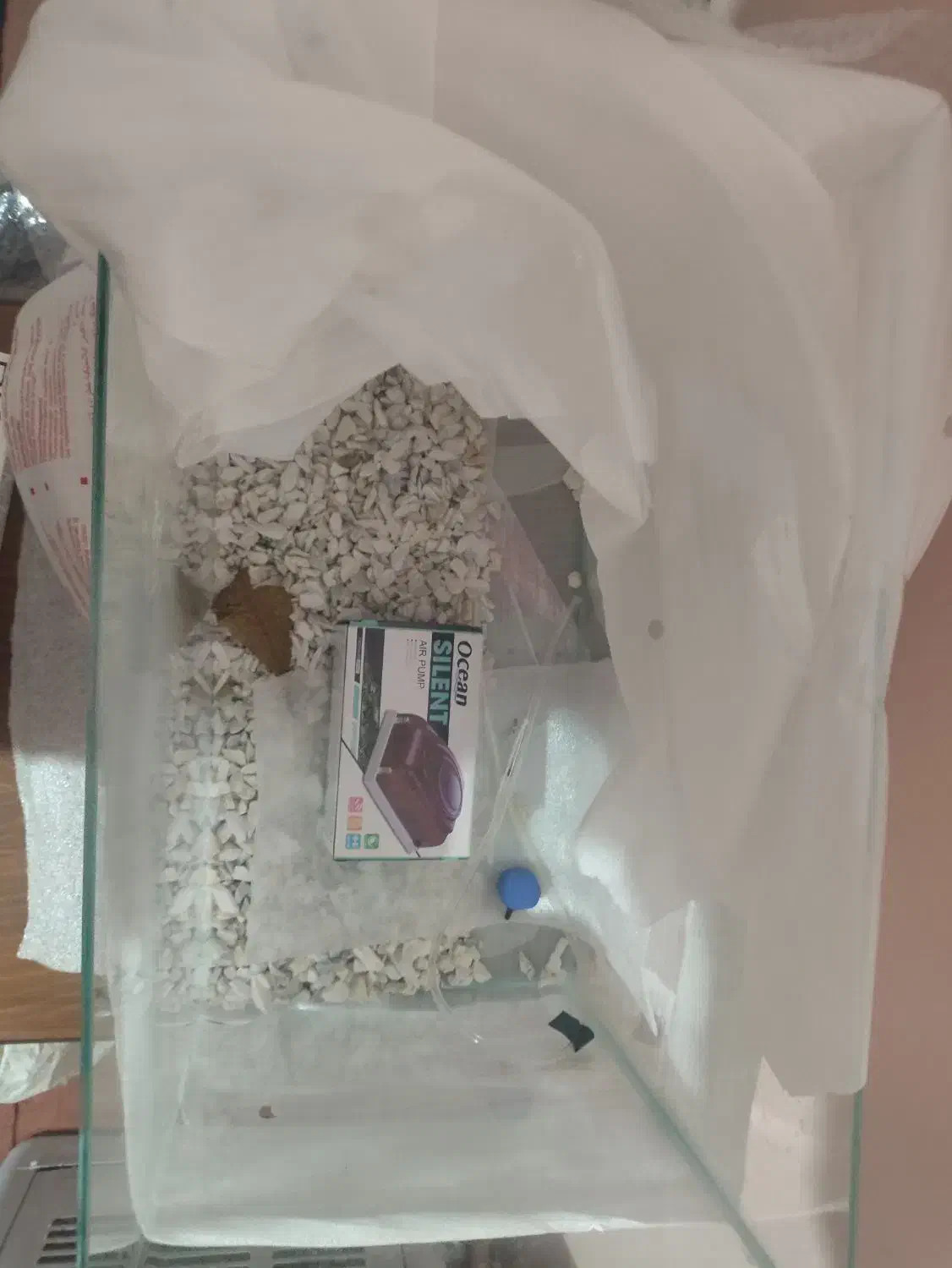 آکواریوم|ماهی|اهر, |دیوار