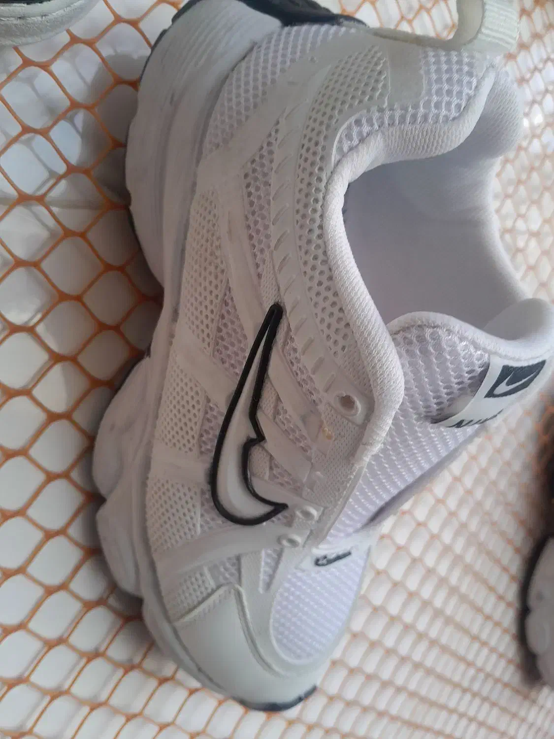 کفش فقط از تولیدی بخر|کیف، کفش، کمربند|تربتحیدریه, آغوی|دیوار