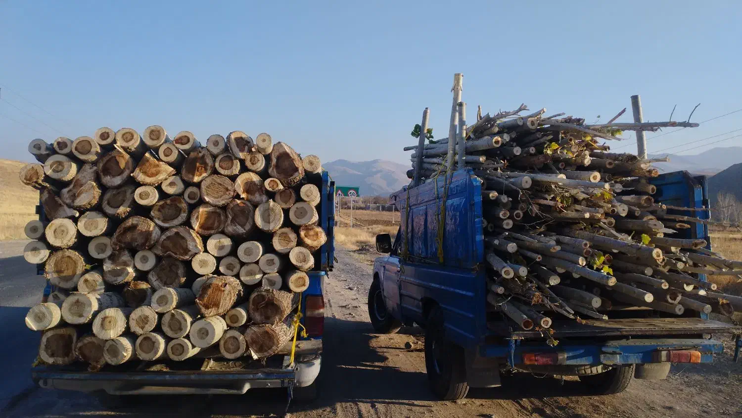 خرید چوب با بالاترین قیمت روز|خدمات باغبانی و درختکاری|سیلوانه, |دیوار