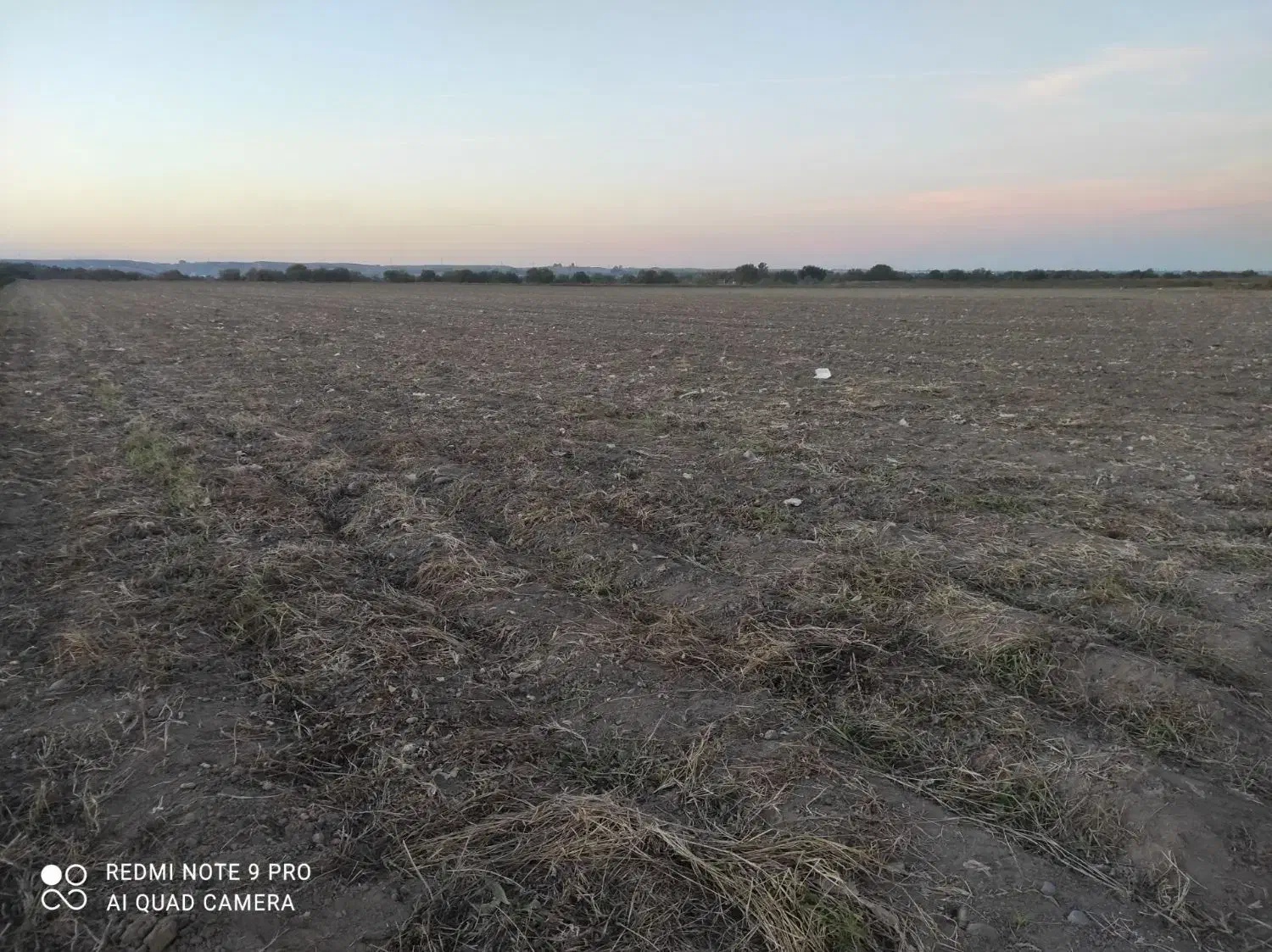 زمین کشاورزی ۵/۵ هکتار اجاره داده می شود|اجارهٔ دفتر صنعتی، کشاورزی، تجاری|اصلاندوز, |دیوار