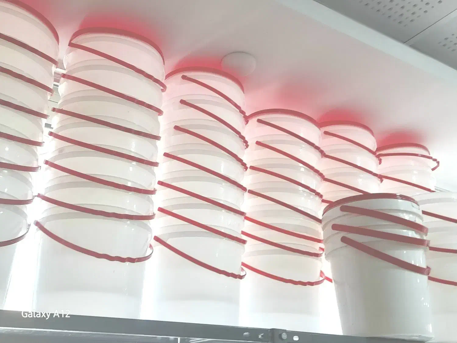 سطل درب بسته تمیز ۱۰کیلویی|عمده‌فروشی|رشت, علی آباد|دیوار