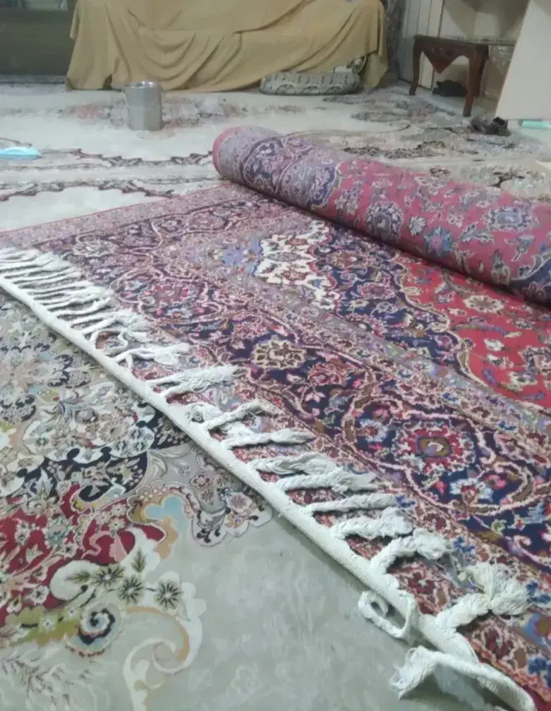 قالی نجف آبادی 12 متری|فرش|اصفهان, شاهزید|دیوار