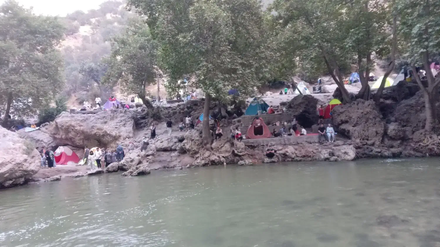 ماهی قزل آلا عمده ۵۰۰گرم اراک|ماهی|فشم, |دیوار