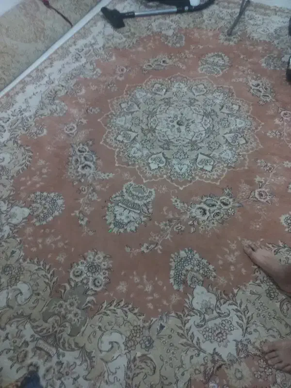 فرش|فرش|گرگان, |دیوار