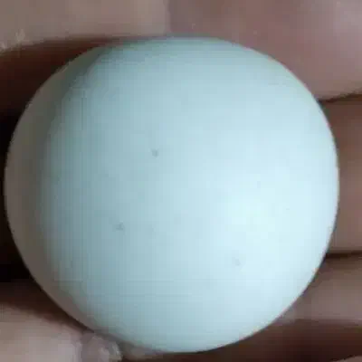 سنگ الماس اسیاب|کلکسیون اشیاء عتیقه|شوشتر, |دیوار