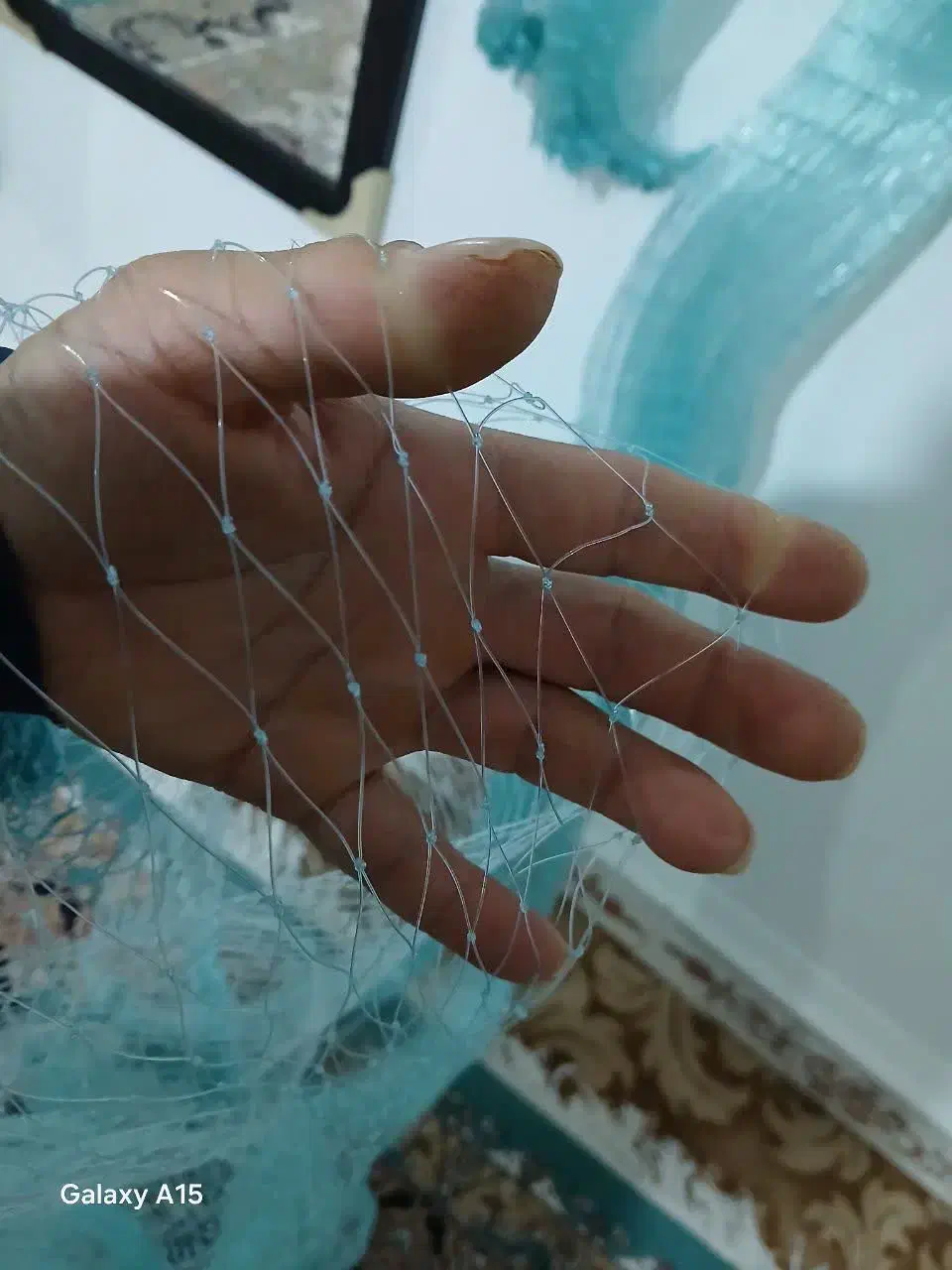 تور|ماهیگیری|سی‌سخت, |دیوار