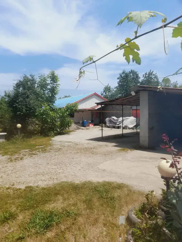 فروش خونه|فروش خانه و ویلا|تولم شهر, |دیوار