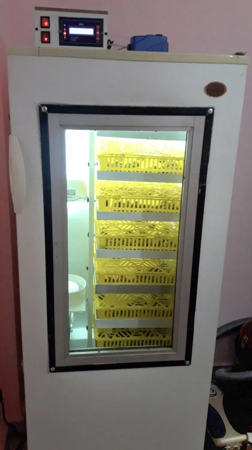 دستگاه جوجه کشی فول اتومات|لوازم جانبی حیوانات|داراب, |دیوار