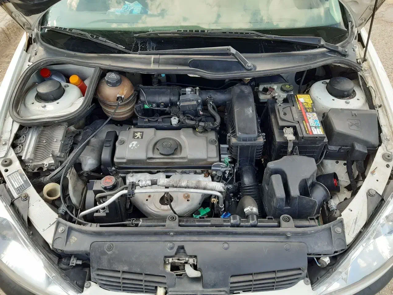 ۲۰۶ sd v6|خودرو سواری و وانت|زاهدان, |دیوار