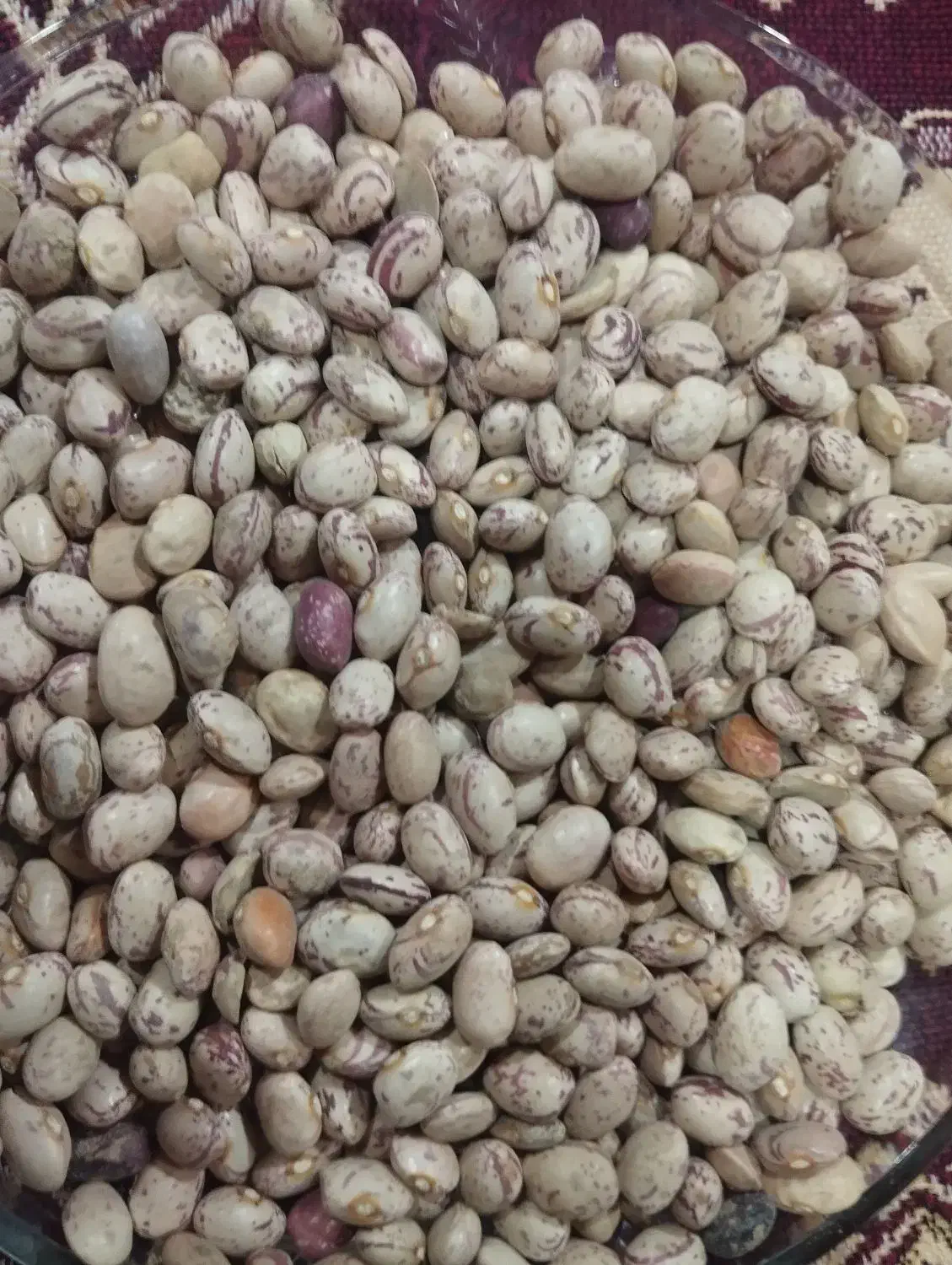 لوبیا چیتی درجه یک|خوردنی و آشامیدنی|اقلید, |دیوار