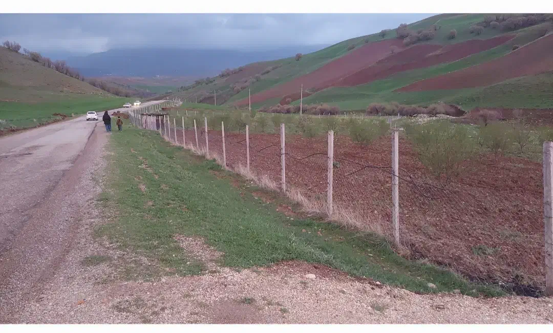 باغ بادام|فروش زمین و ملک کلنگی|جوانرود, |دیوار