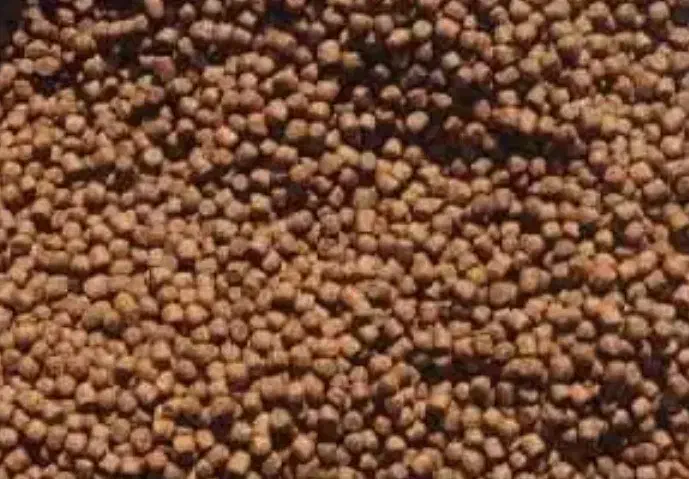 غذا خشک حیوانات تهران کرج|لوازم جانبی حیوانات|کرج, مهرویلا جنوبی|دیوار