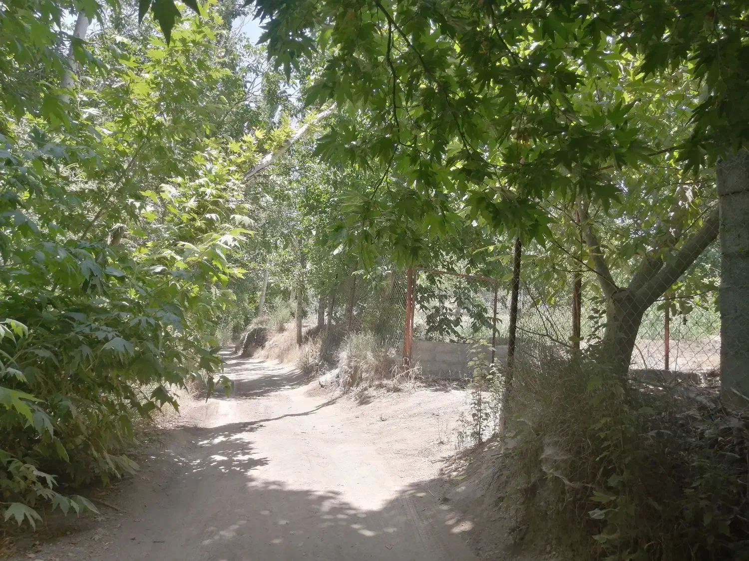 باغ لب آب نزدیک پل زمانخان|فروش دفتر صنعتی، کشاورزی، تجاری|اصفهان, سعادتآباد|دیوار